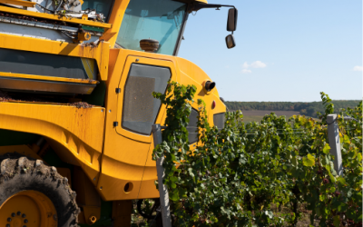 Título de ejemplo 2